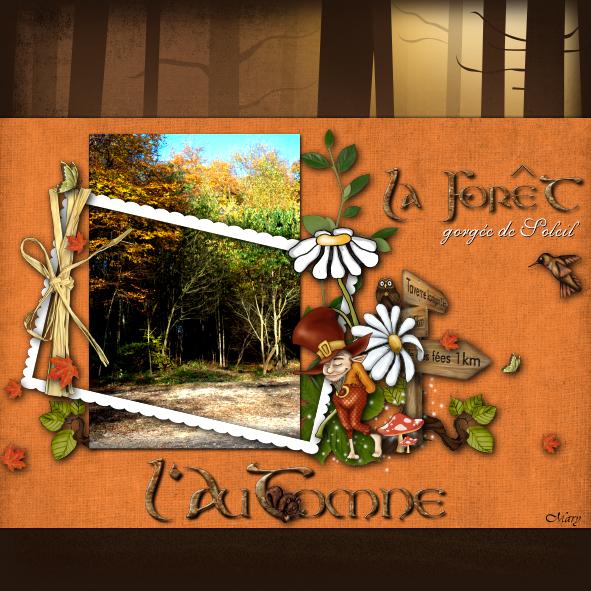 kit esprit de la forêt