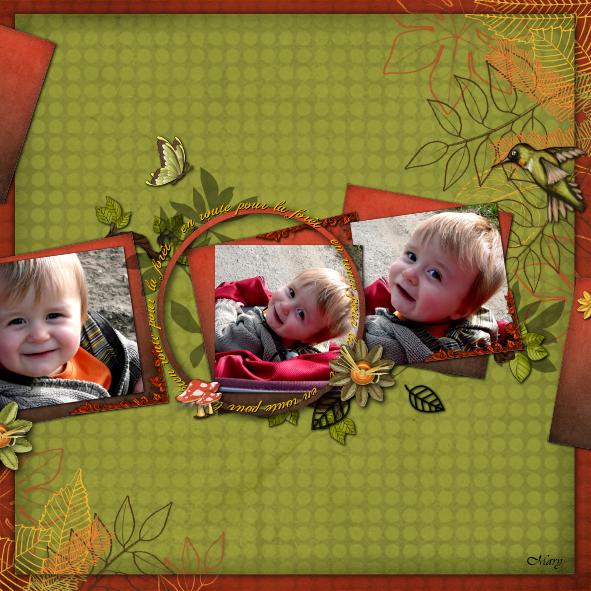 kit esprit de la forêt