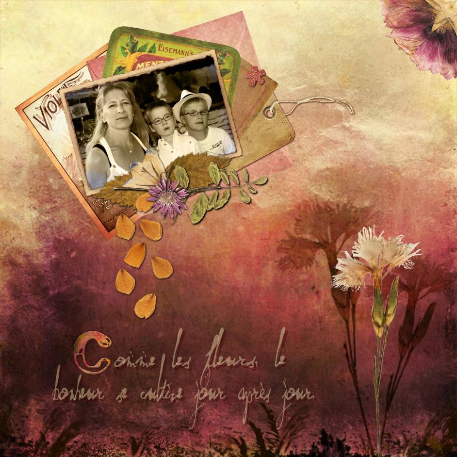 Kit fleurs séchées 1