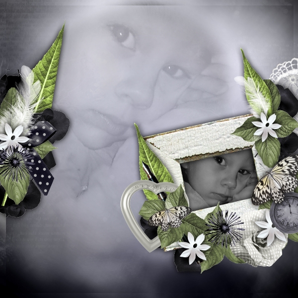 Kit Jardin Poetique Love Crea