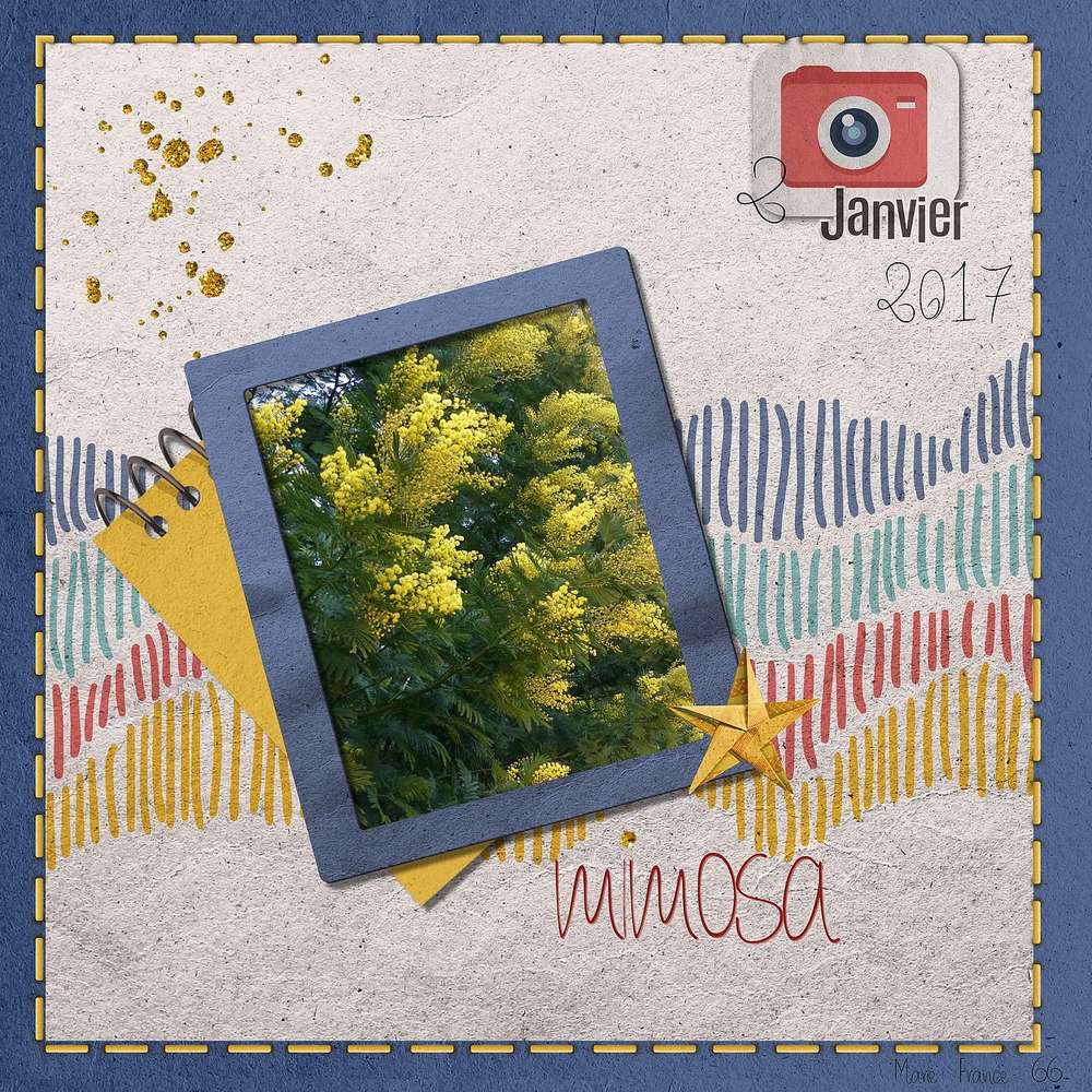 kIT MA VIE EN COULEUR