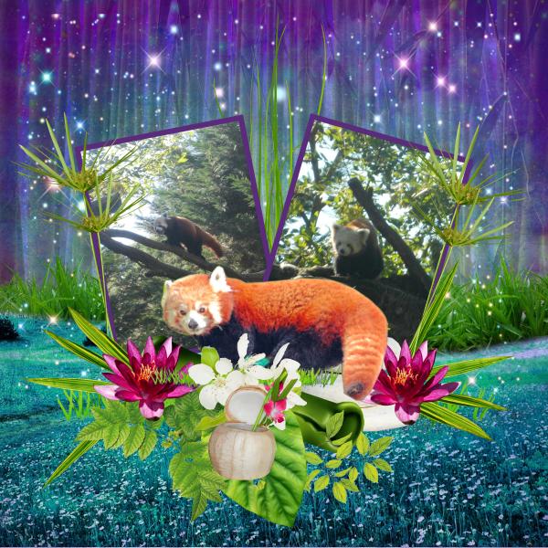 kit panda land de Kastagnette