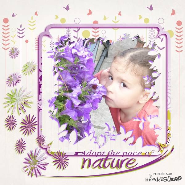 Kit poésie végétale