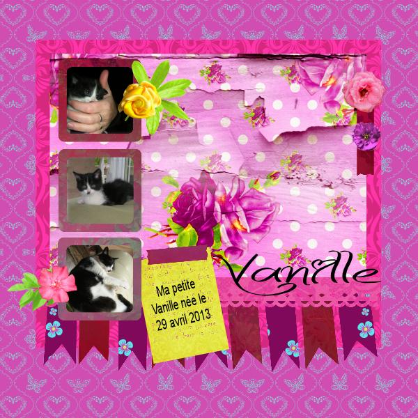 Kit "Colors Exhibition" de Desclics  et mon chat Vanille