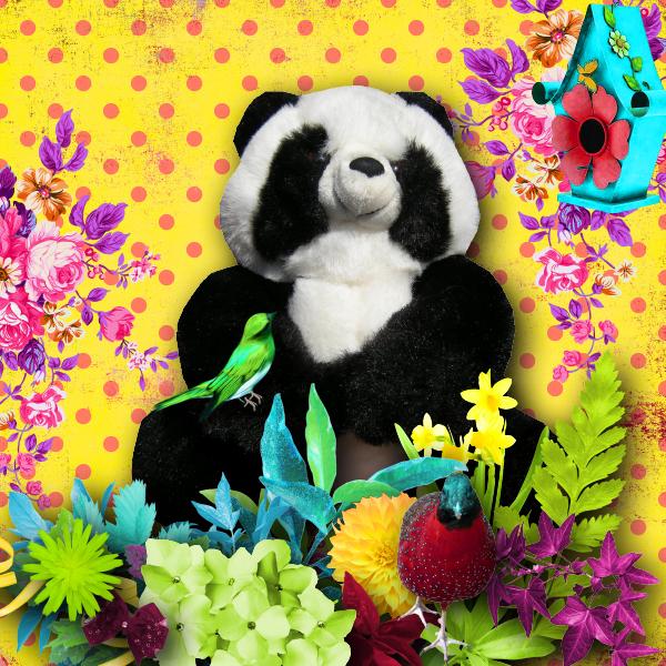 Kit "Colors Exhibition" de Desclics