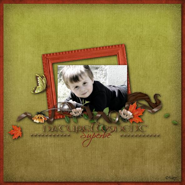 kit "esprit de la forêt"