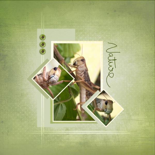 Kit Un été à la montagne