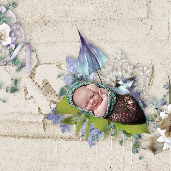 kit winter shivers de butterfly design