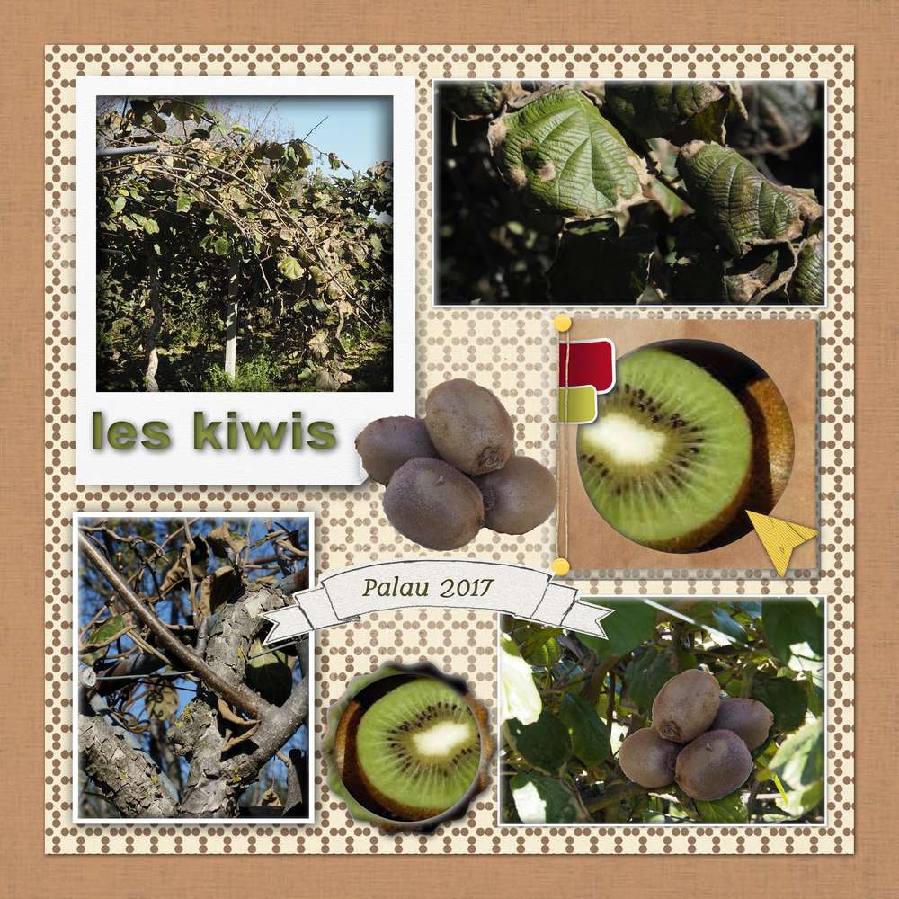 KIWIS1