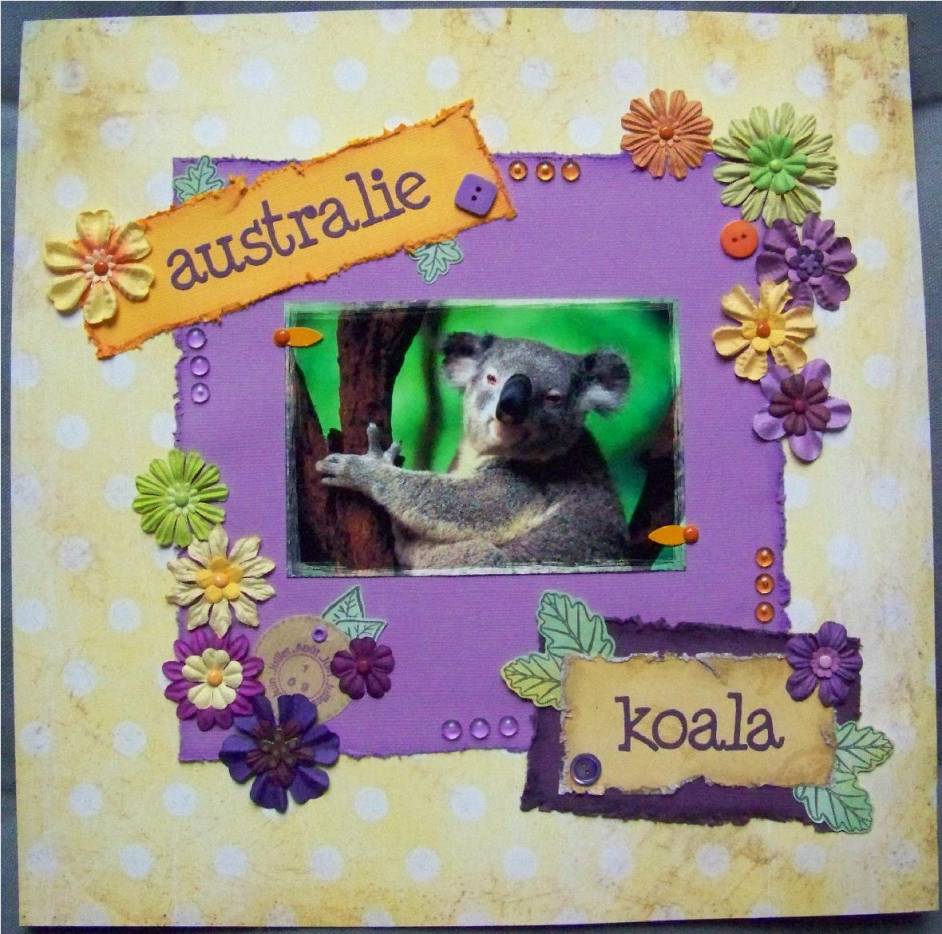 Koala Page Gratter