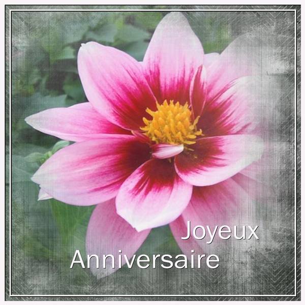 KOKECHI (CELINE) - JOYEUX ANNIVERSAIRE