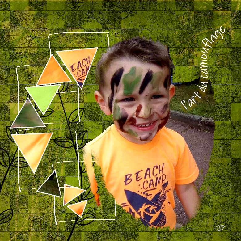 l art du camouflage.jpg