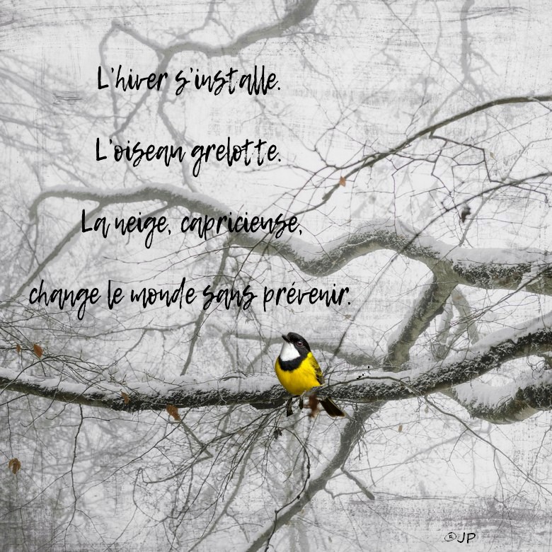 l hiver s installe.jpg