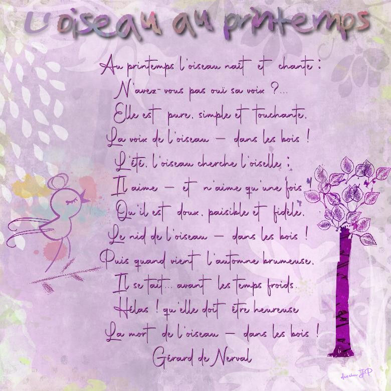 l oiseau au printemps SD.jpg