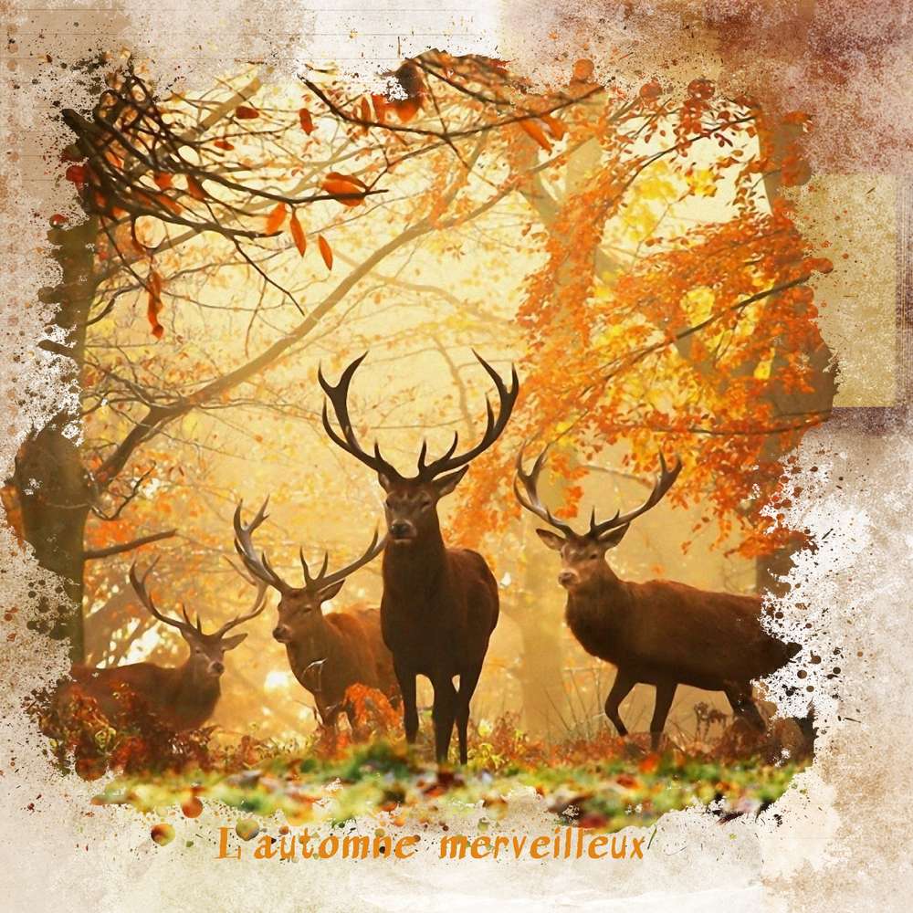 l___automne_merveilleux