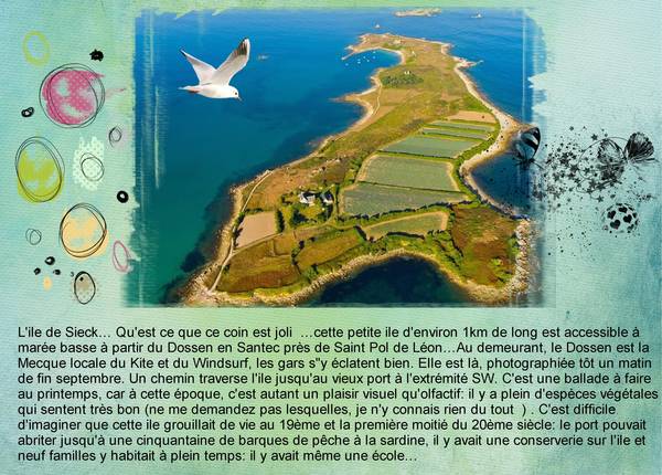 l___le_de_SIECK____29_