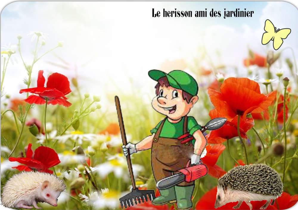 l_ami_des_jardiniers_2