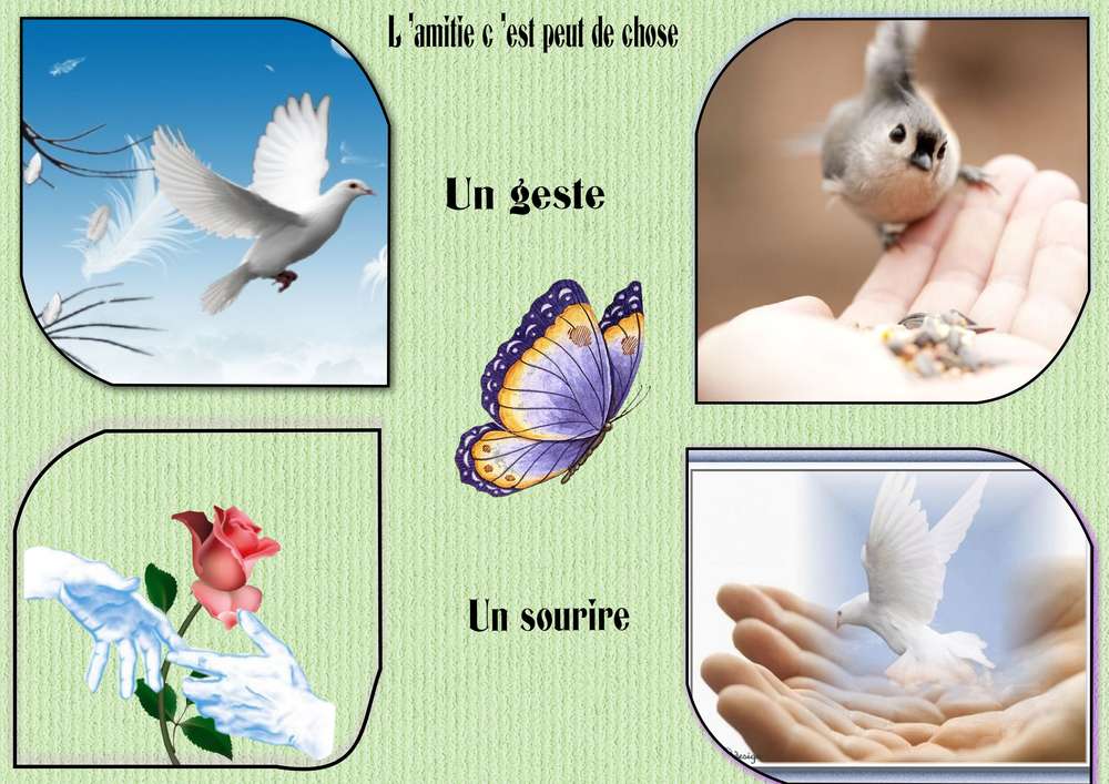 l_amitie_c_est_peut_de_chose