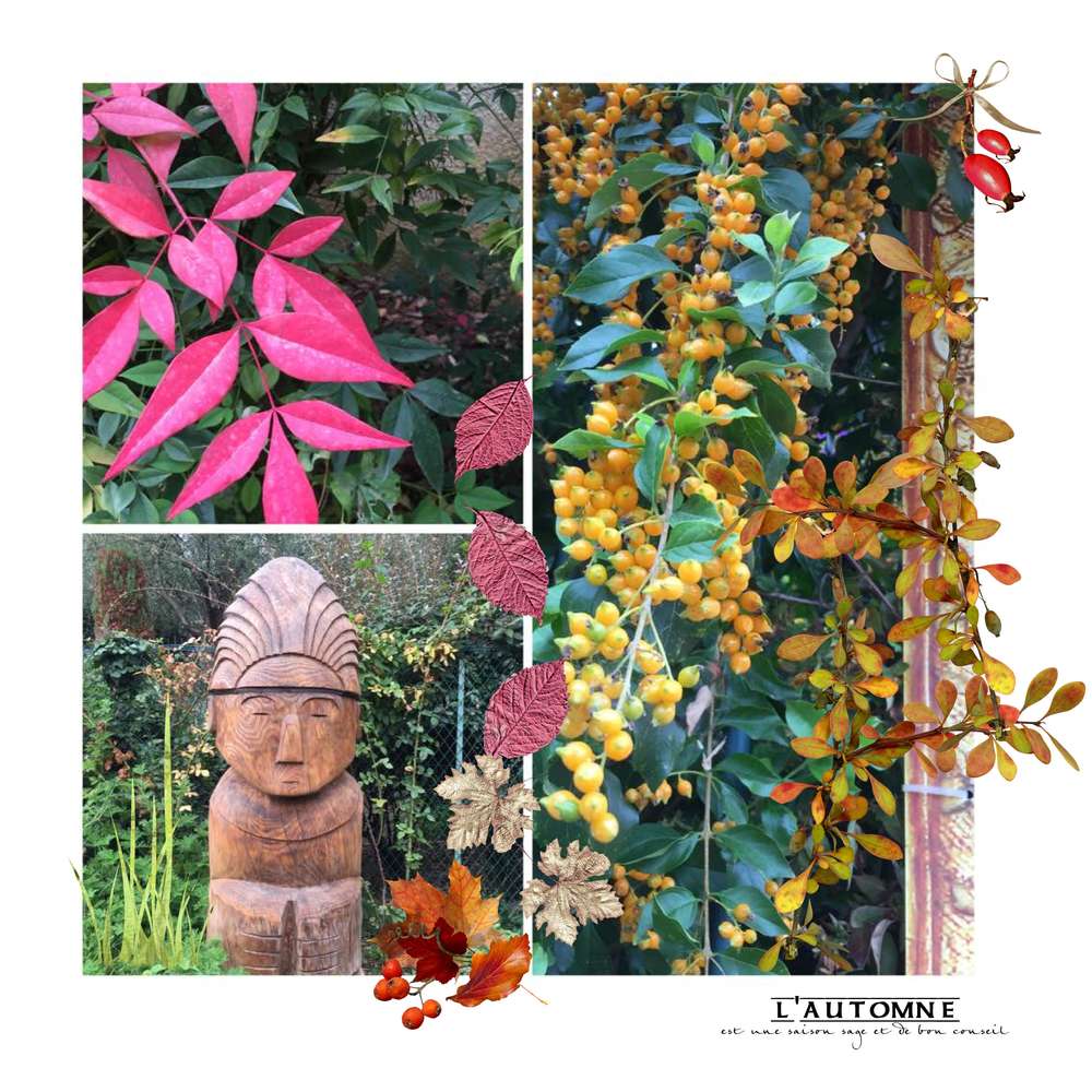 l_automne12