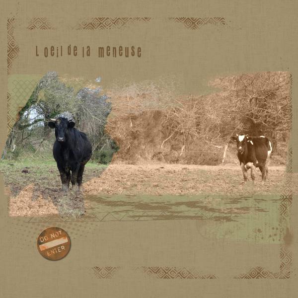 l_oeil_de_la_meneuse