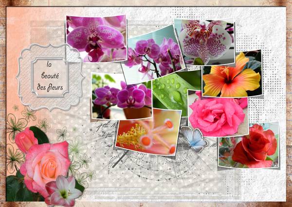 la beauté des fleurs