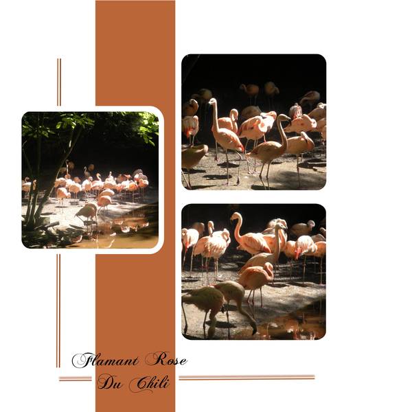 la boissière du doré