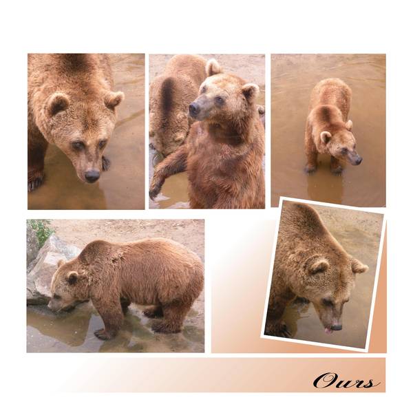 la boissière du doré