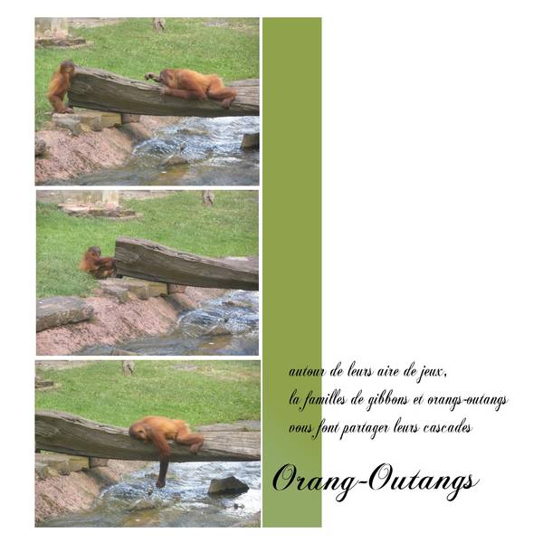 la boissière du doré