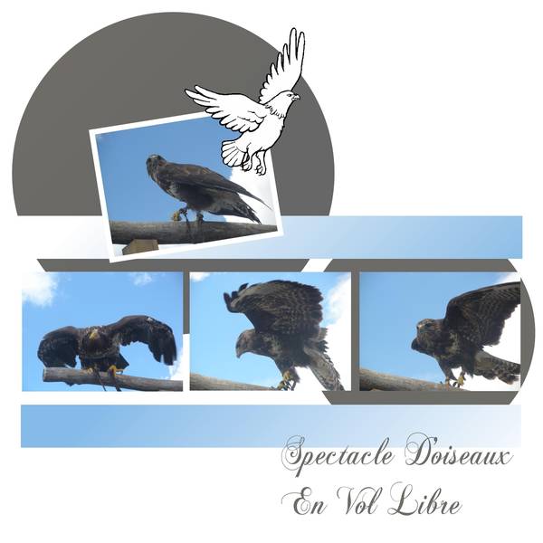 la boissière du doré