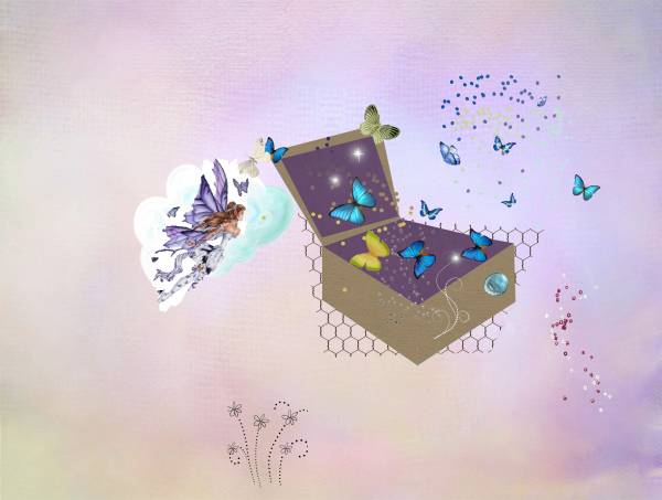 La boite aux papillons rectifiée Défi Moysson