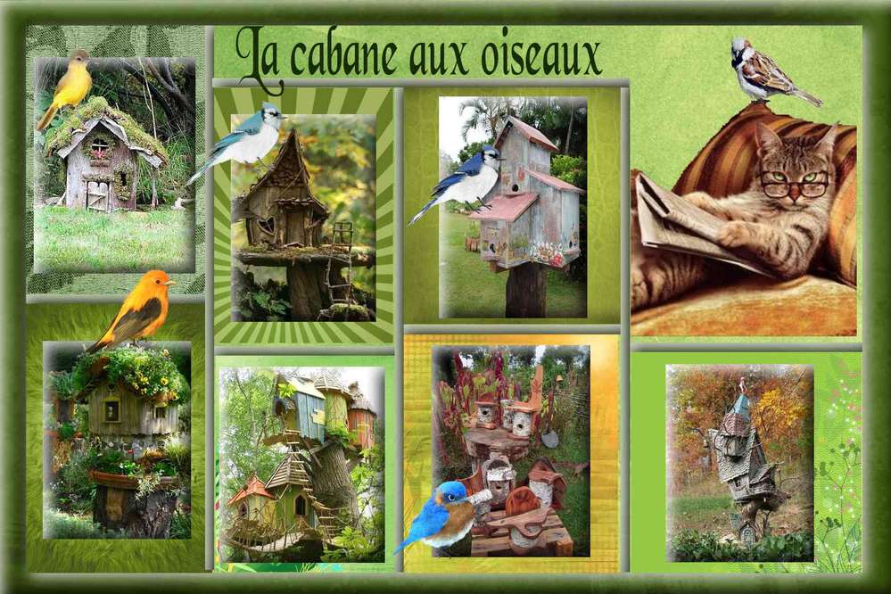 La cabane aux oiseaux