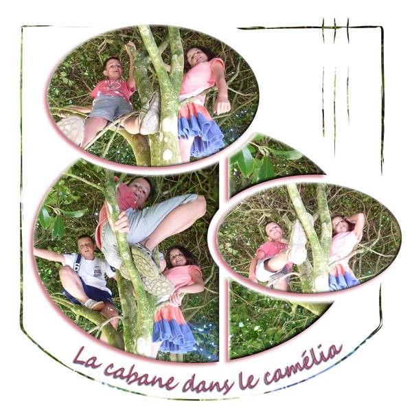 La cabane du camélia