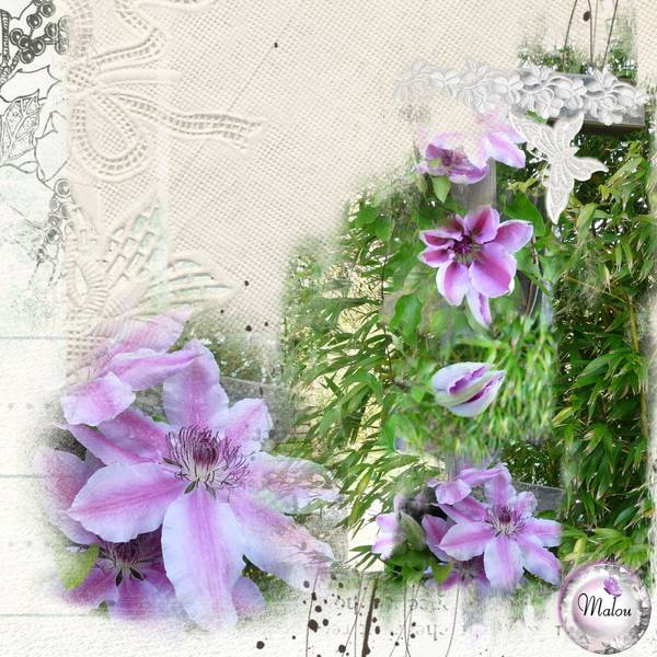 La clématite..... de mon jardin...