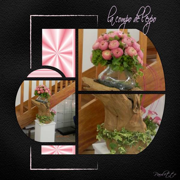 la composition de l'expo