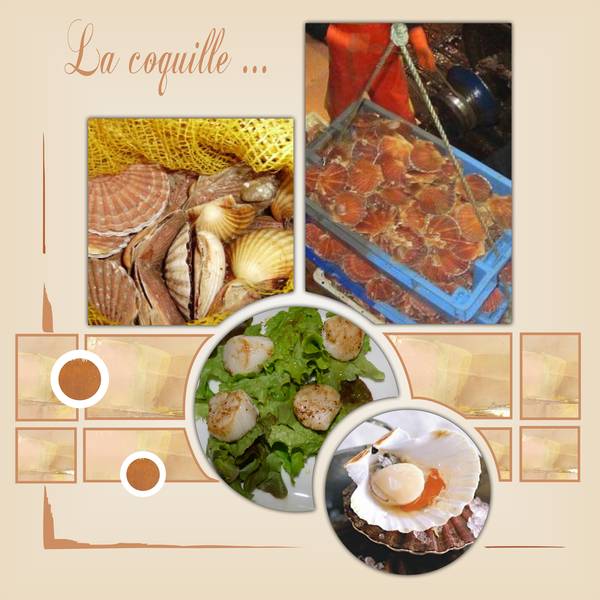 La coquille St Jacques...