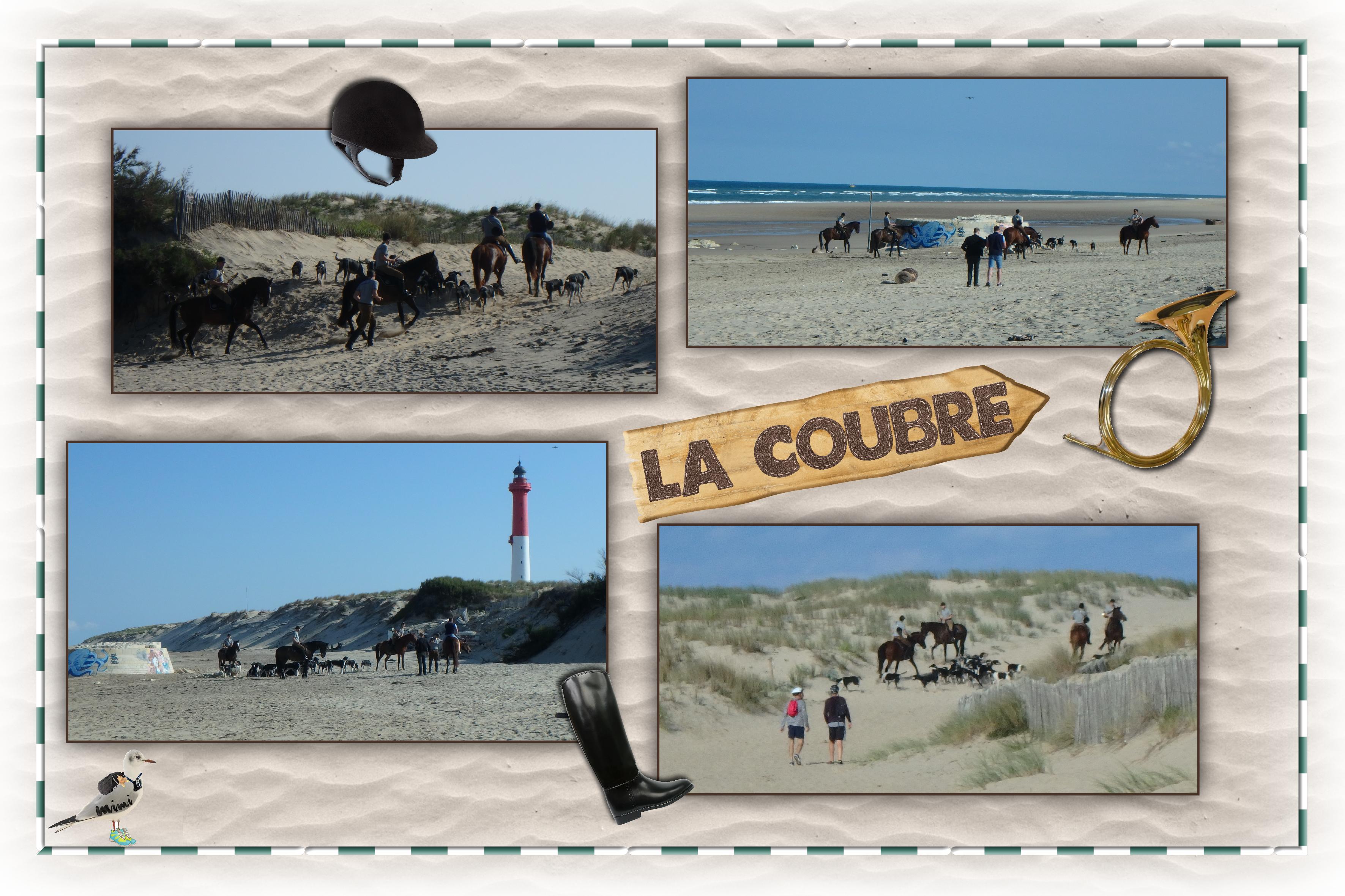 La Coubre-séance photo meute-25juin.jpg