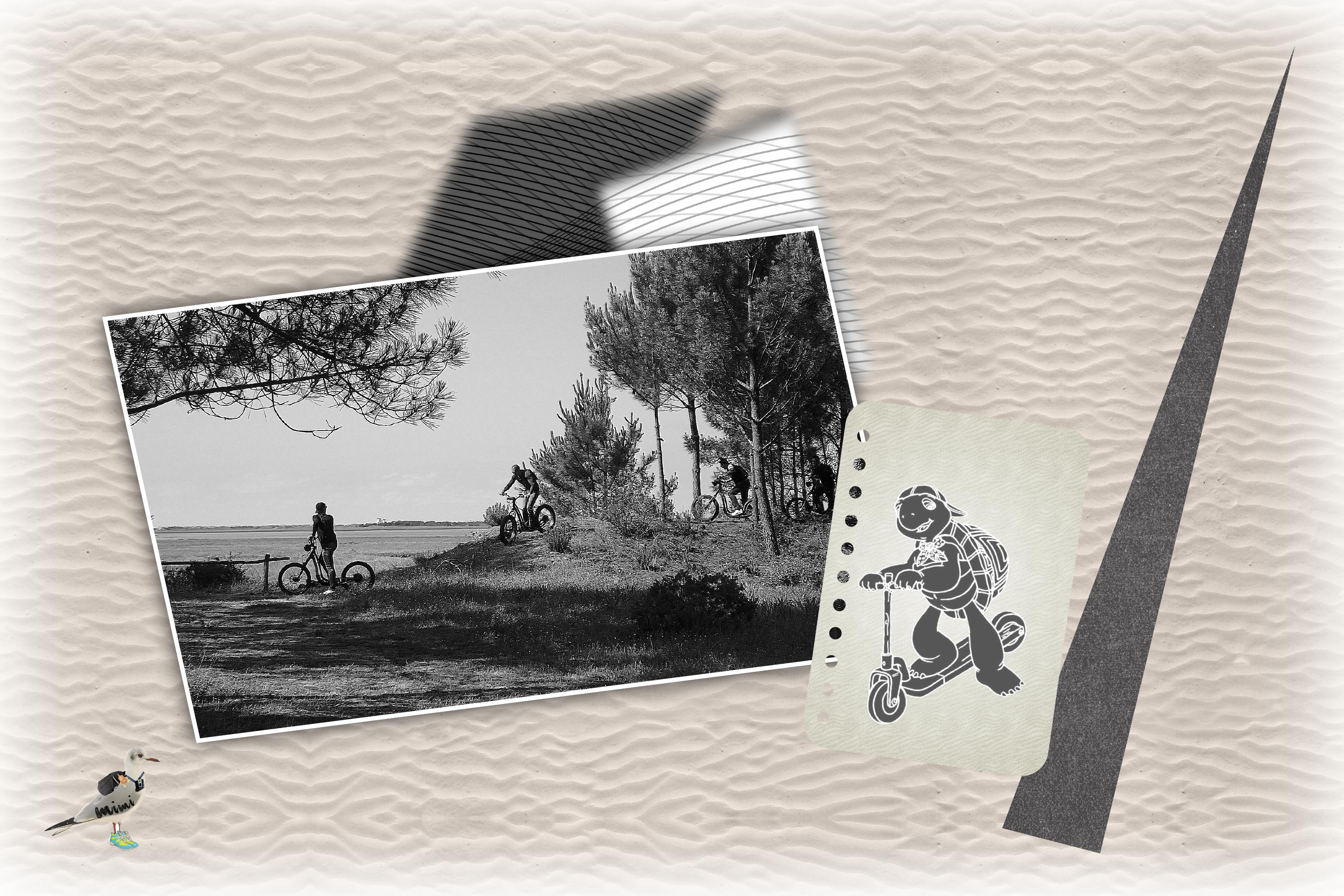 La Coubre-trot'tous terrains-25juin.jpg