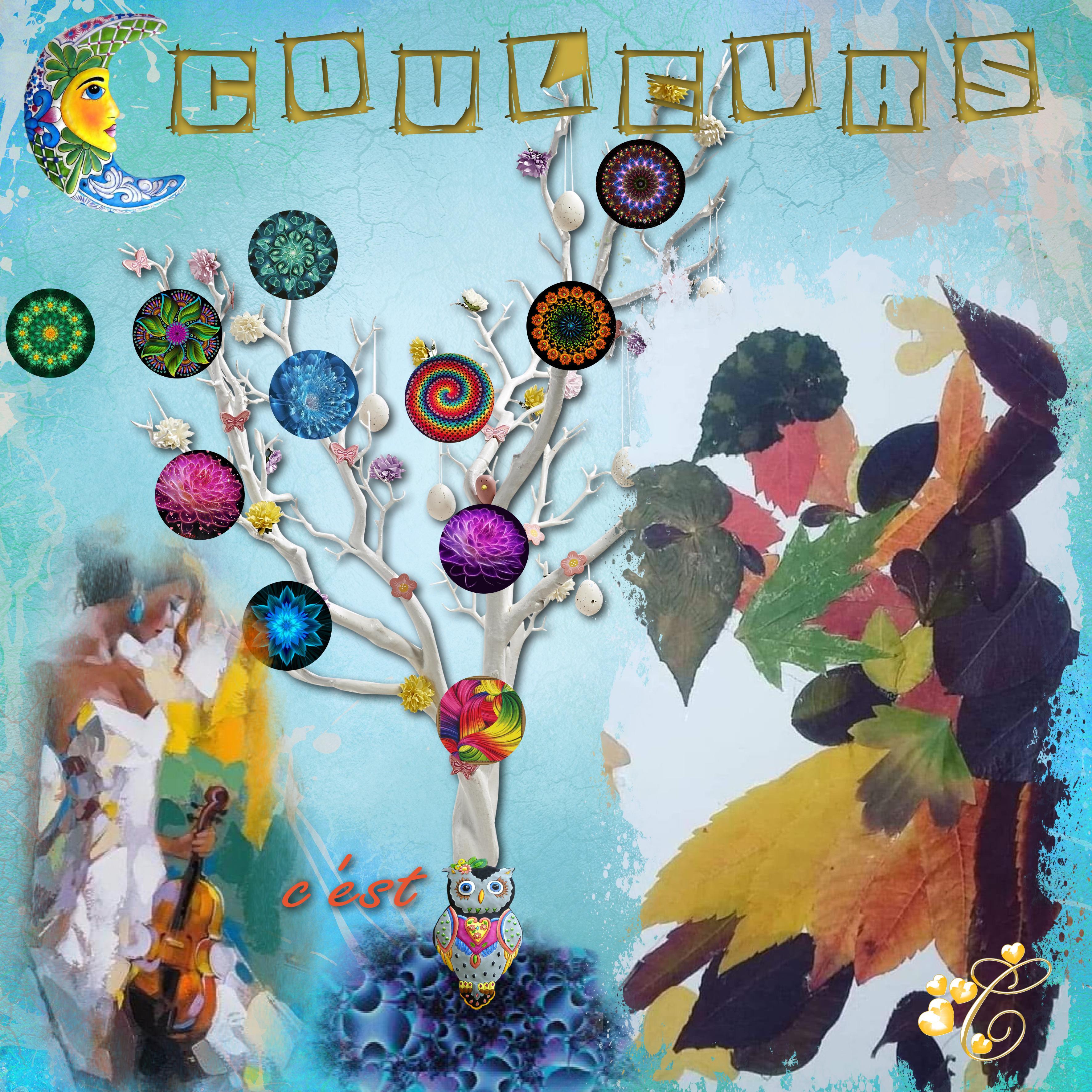 La couleur c'est la vie  dit la chouette