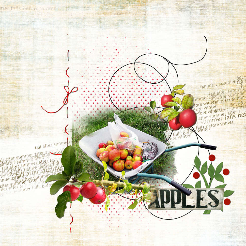 la cueillette des pommes