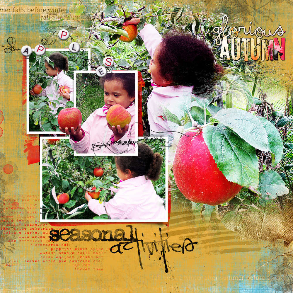 La cueillette des pommes