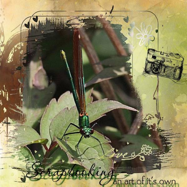 la dernière de la saison!..... en photo!...