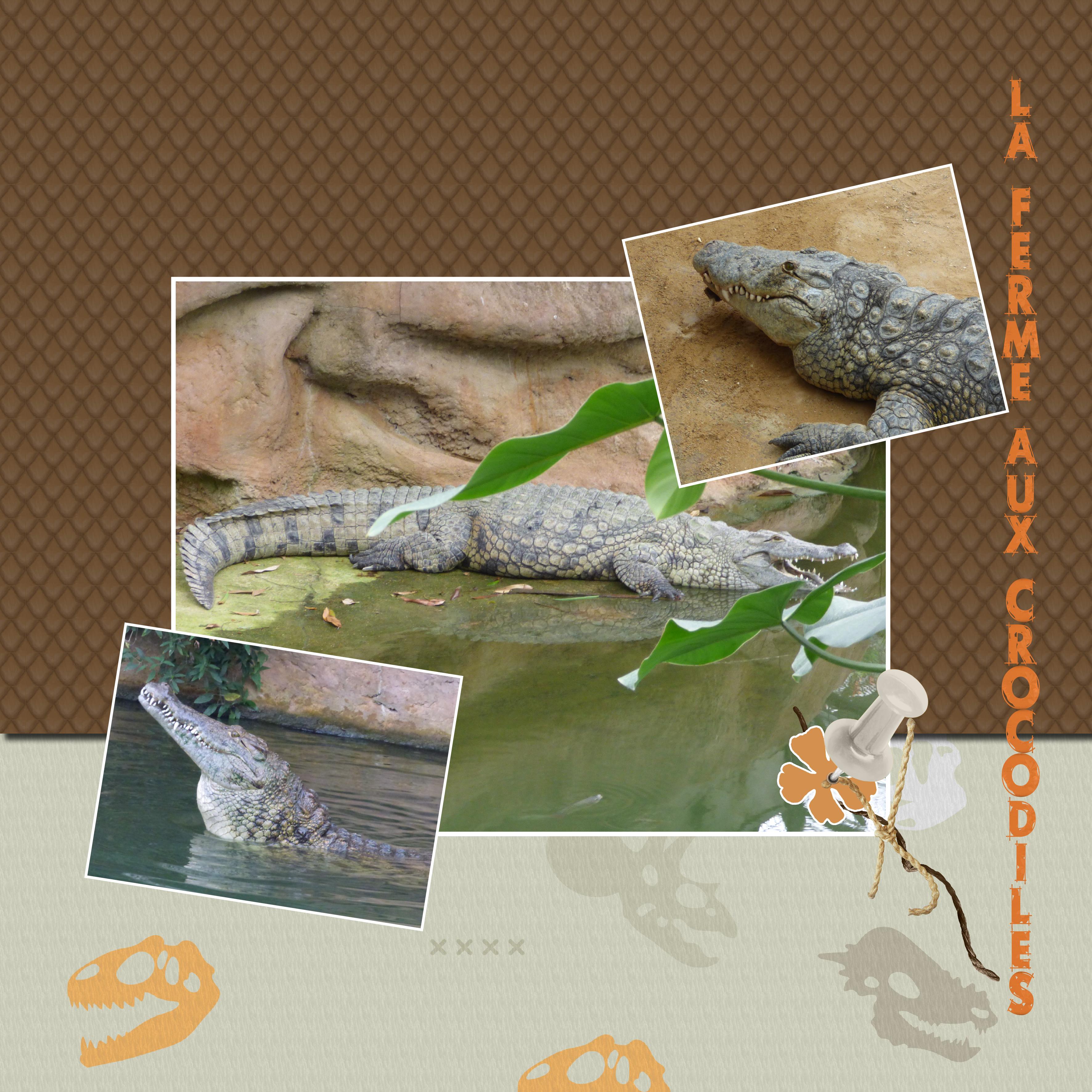 La ferme aux crocodiles avril 2017 (speedscrap recette de cuisine).jpg