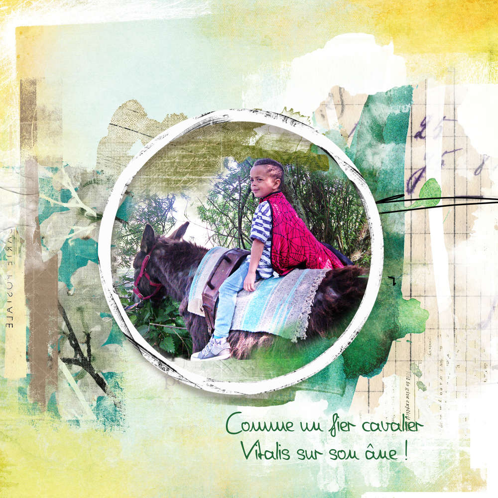 la ferme des ânes 3