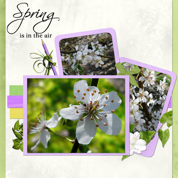 La fièvre du printemps