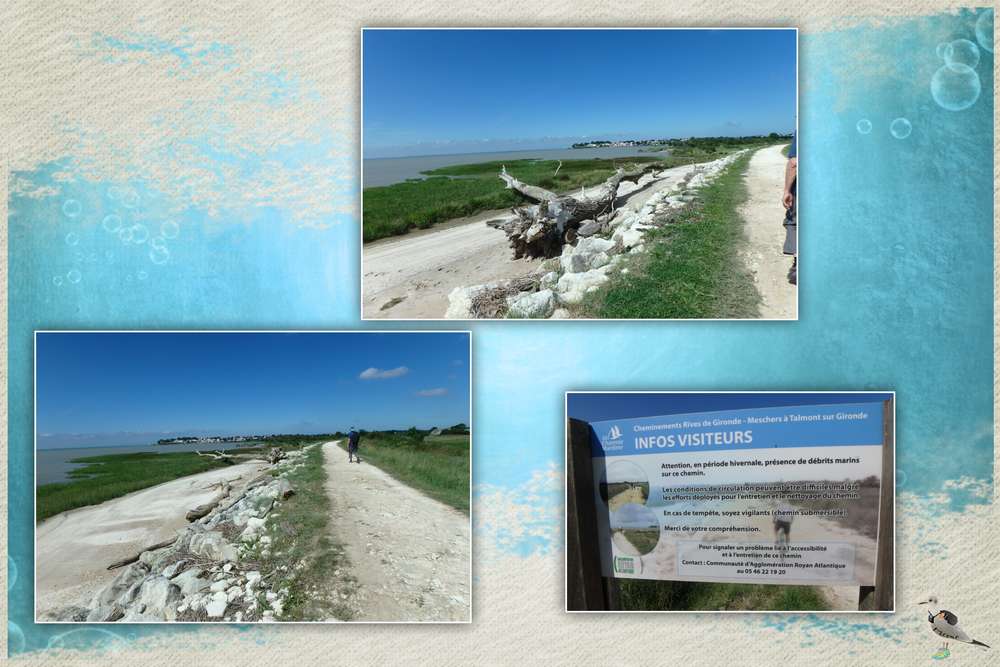 la force de l'océan ...