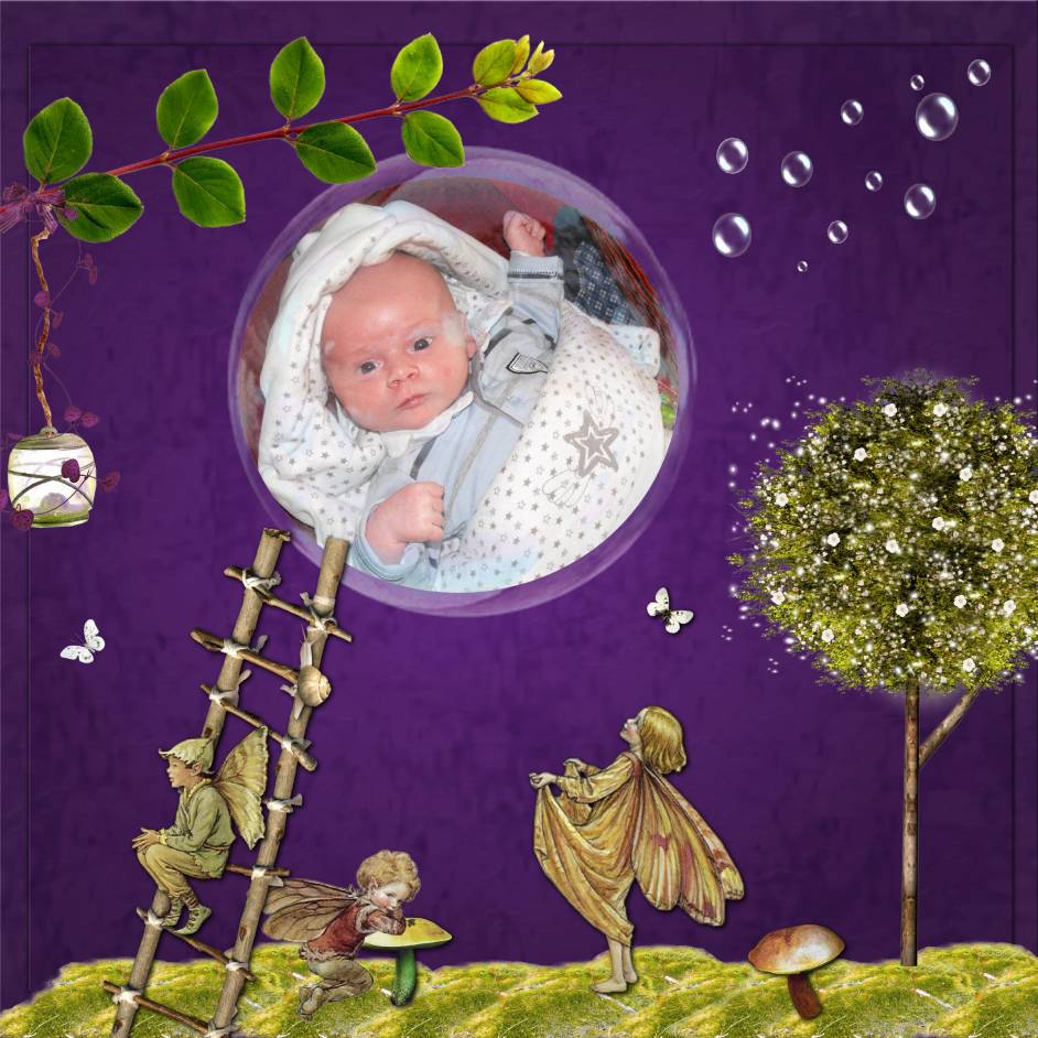 La fôrêt enchantée...