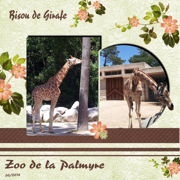 la girafe amoureuse de l arbre