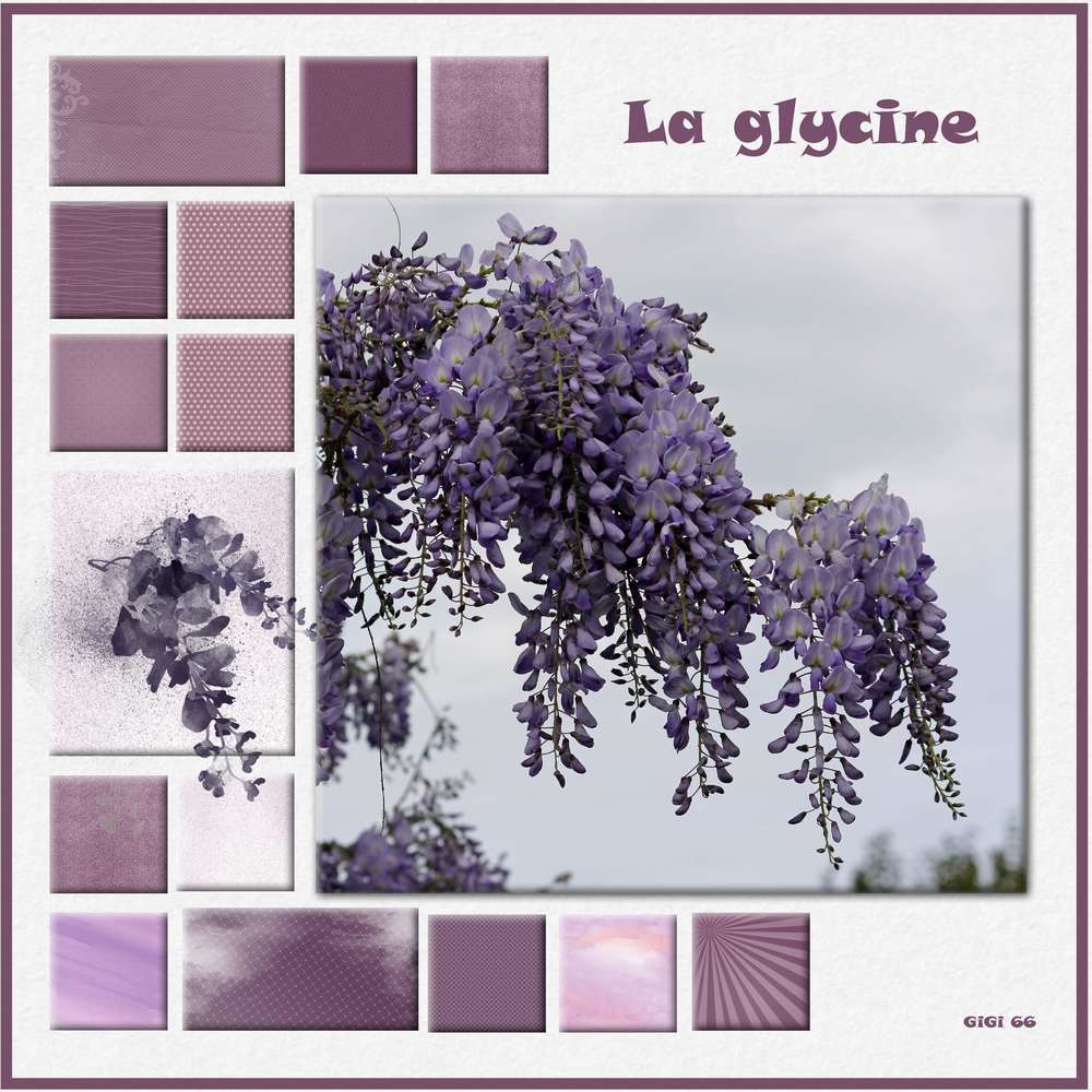La glycine