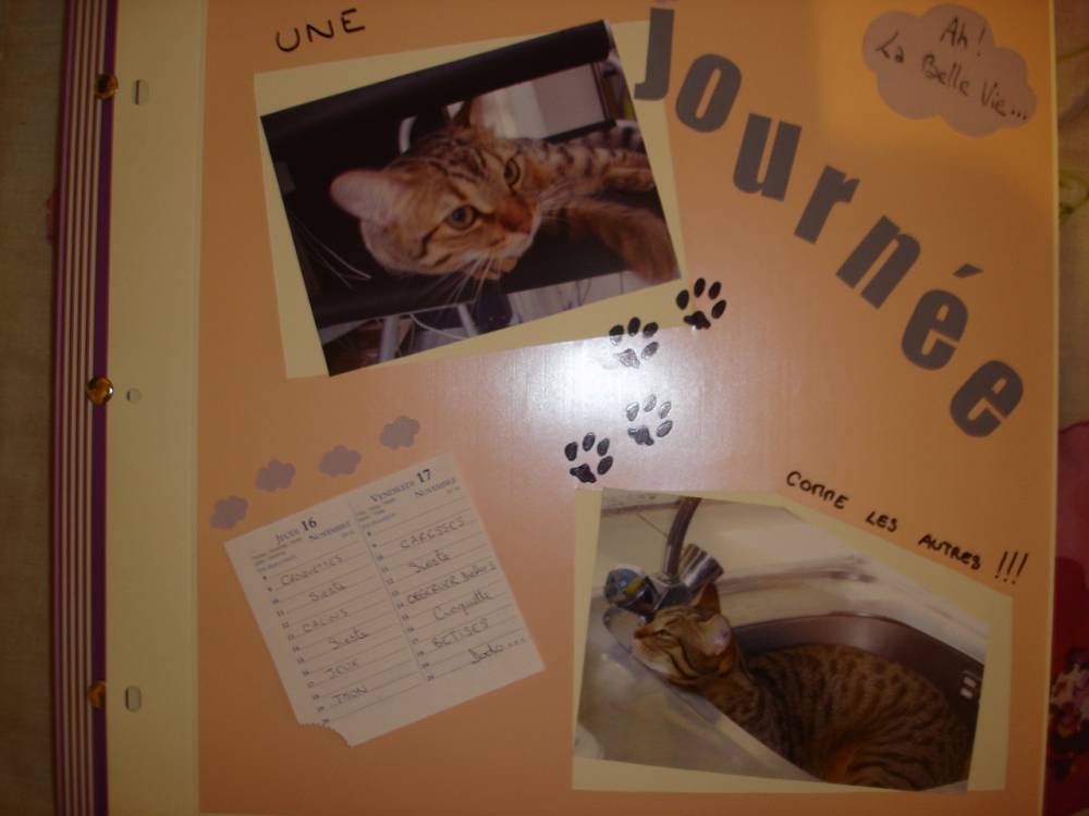 La journée de Chanel