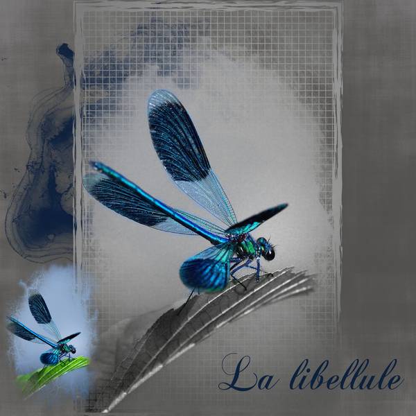 La libellule...